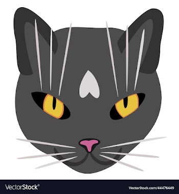 isolated of cats head