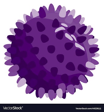 isolated of dark purple ball for pets
