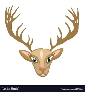 isolated of deer head