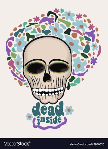 isolated of female skull with