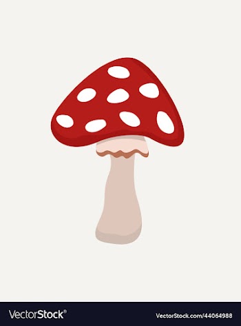 isolated of fly agaric