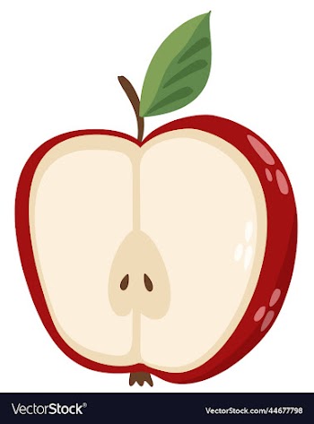 isolated of half of red apple