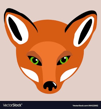 isolated of head of red fox