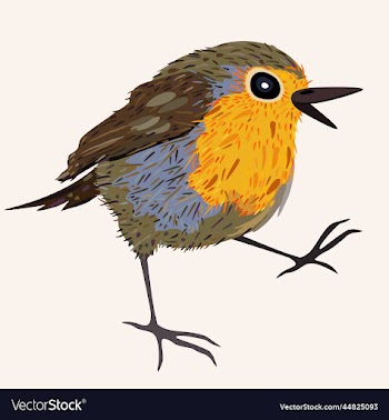 isolated of little bird with yellow