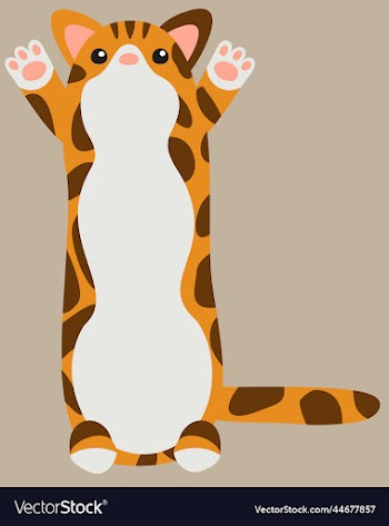 isolated of long toy cat