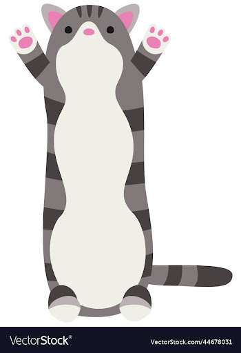 isolated of long toy cat