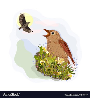 isolated of singing nightingale