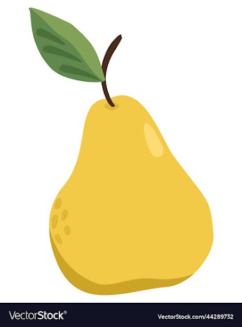isolated of sweet yellow pear
