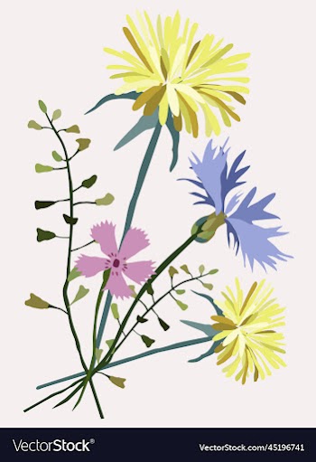 isolated of wildflowers