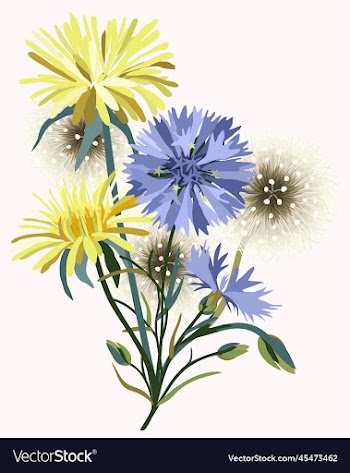 isolated of wildflowers