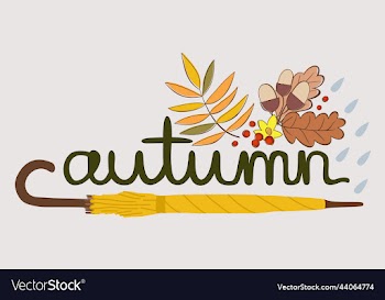 isolated of yellow umbrella autumn