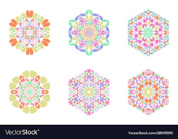 Isolated ornate petal hexagon symbol template set vector image