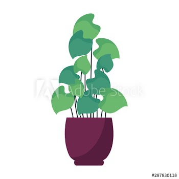 Isolated plant inside pot vector design