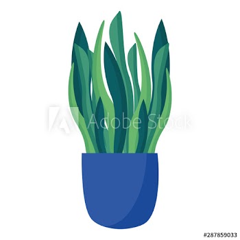 Isolated plant inside pot vector design