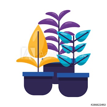 Isolated plants with leaves design