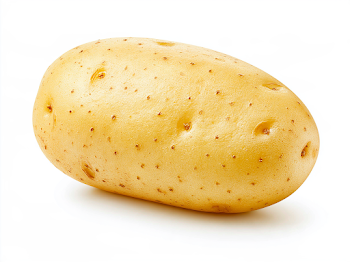 Isolated Raw Golden-Yellow Potato on White Background
