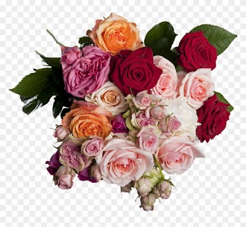Isolated, Roses, Bouquet, Multi Coloured, Romantic - Roses Bouquet Png