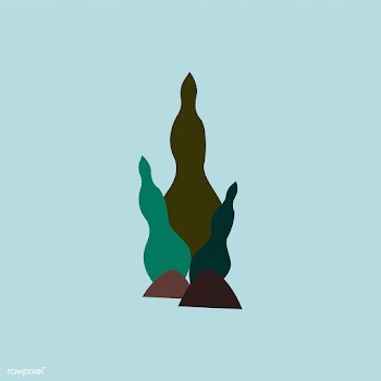 Isolated seaweed algae underwater illustratio.. | Free stock vector - 462125