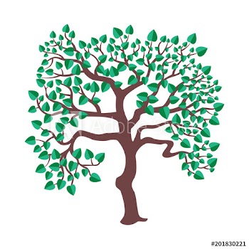 Isolated spring tree
