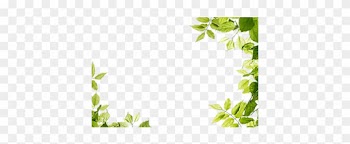 Isolated Star Green Leaf Isolated Star Green Leaf Transparent - Makes It Has No Need