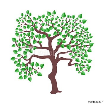 Isolated summer tree