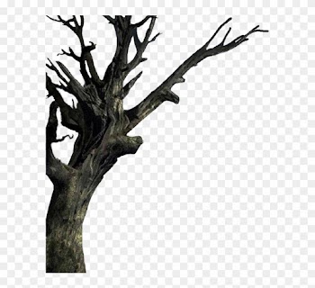 Isolated The Tree - Transparent Spooky Tree