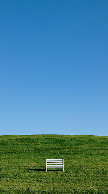 Isolated White Bench in Vast Green Meadow