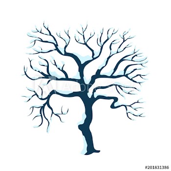 Isolated winter tree