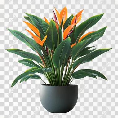 Isometric 3D Rendering of a Bird of Paradise Plant