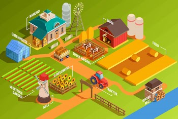 Isometric farm infographics Free Vector