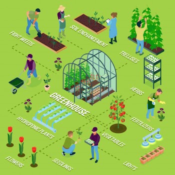 Isometric greenhouse flowchart Free Vector