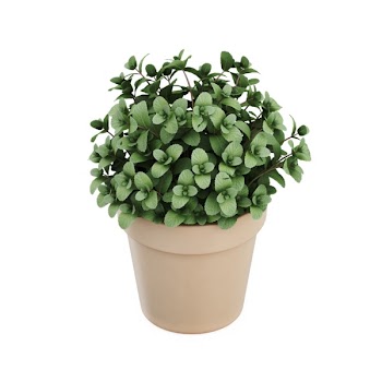 Isometric plant