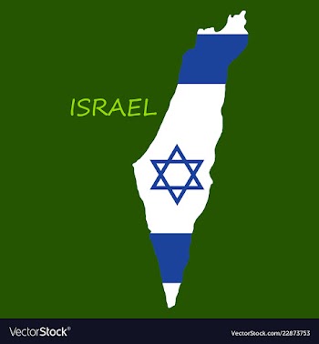 Israel map painted in the color of the flag vector image
