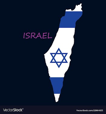 Israel map painted in the color of the flag vector image