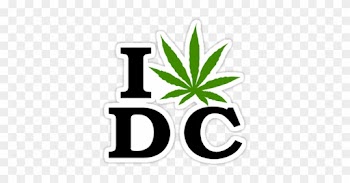 It's A Calm Night In The Nation's Capital - Canada Flag Weed Leaf