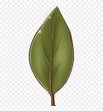 It's A Leaf By Cartproductions - Cartoon Leaf Texture