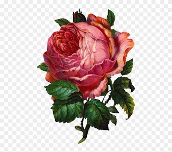 It's Always Like Opening A Gift When I Find Free Vintage - Vintage Rose Clipart