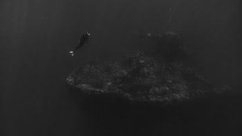 It has always been a dream to travel to Micronesia, but it’s a whole other story to get the opportunity to go, and dive the biggest graveyard of WWII ships in the world.

The place I am speaking of is Chuck Lagoon of the Federated States of Micronesia, located about 1,000km south east from Guam on the Pacific Ocean.

This is the remains of one of the merchant ships that sunk during Operation Hailstorm that took place in 1944.