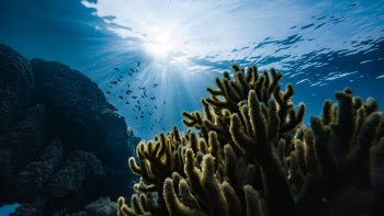 It has always been a dream to travel to Micronesia, but it’s a whole other story to get the opportunity to go, and dive the biggest graveyard of WWII ships in the world.

The place I am speaking of is Chuck Lagoon of the Federated States of Micronesia, located about 1,000km south east from Guam on the Pacific Ocean.

This is the remains of one of the merchant ships that sunk during Operation Hailstorm that took place in 1944.