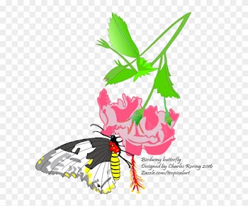 It Is Not Easy To Make Digital Drawing - Birdwing Butterfly Large Tote Bag, Natural, Large