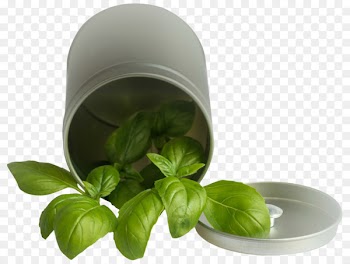 Italian cuisine Pesto Basil Portable Network Graphics Caprese salad - basilpng stamp 