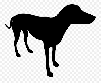 Italian Greyhound Dog breed Longdog Clip art -  