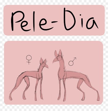 Italian Greyhound Horse Mammal Fauna - horse 
