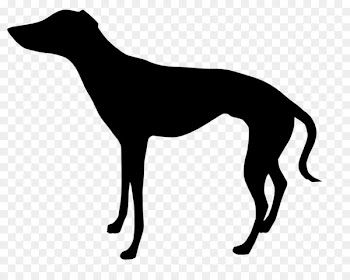 Italian Greyhound Whippet Clip art Silhouette -  
