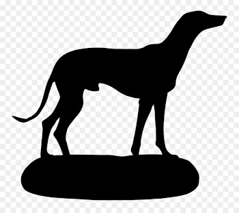 Italian Greyhound Whippet Sloughi Spanish greyhound -  