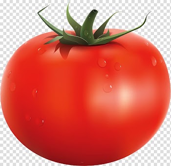 Italian tomato pie Food , vegetable transparent background PNG clipart