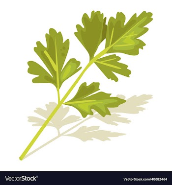 italian vegetable