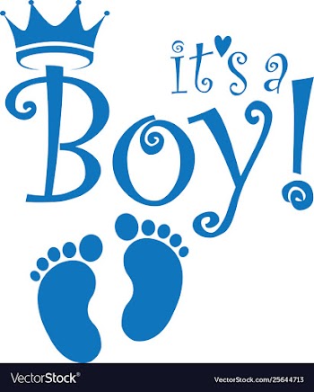 Its a boy banner vector image