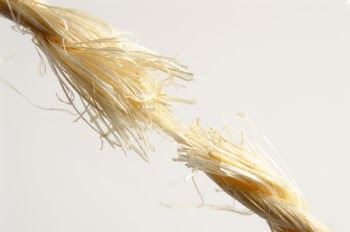 IvÃ¡n_MelenchÃ³n_Serrano_Rope_MorgueFile.jpg
