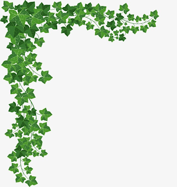 Ivy Border Png (92+ images in Collection) Page 3